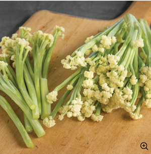Chinese Cauliflower sprout - $8.00/eac