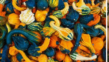 Gourds-$4/pouund