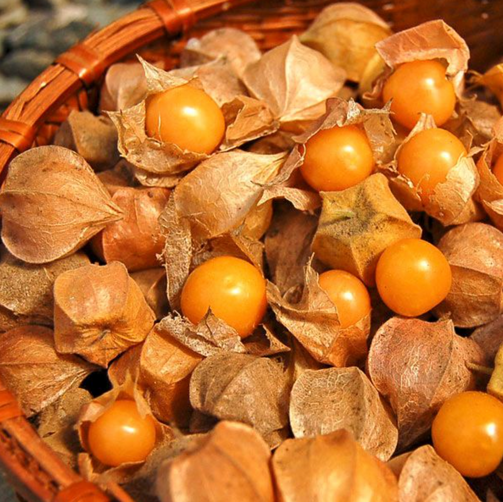 ground cherries - $8/pint