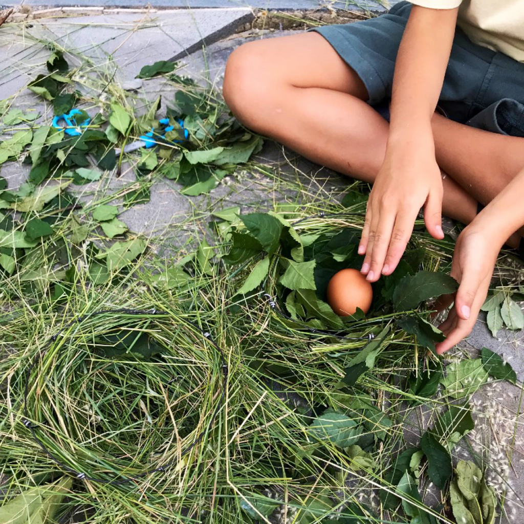 NESTS: A Creative Workshop for Kids (Ages 5-11)